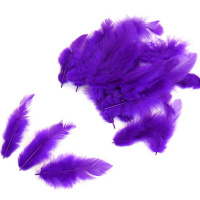 Набор перьев 100шт/уп., фиолетовый Y7468-18