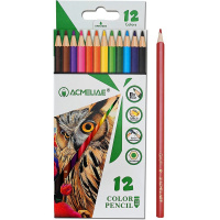 Карандаши 12 цветов "Acmeliae" шестигранные пластиковые картон PCP-012