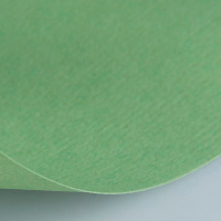Бумага для пастели A4 160г/м2 зеленый сок (хлопок 45%) 15723143