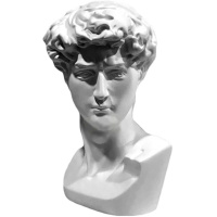 Бюст Давида Микеланджело малый 12,5х11,5х19,5см 10-185