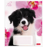 Тетрадь А5 12л клетка "Любимцы" на скобе 5 дизайнов 12Т5В1/033752