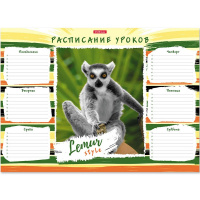 Расписание уроков А3 "Lemur Style" 49716