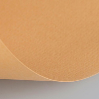 Бумага для пастели 50х65см 160г/м2 песочная (хлопок 45%) 15011473