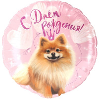 Шар воздушный 46см(18") Круг "С Днем Рождения! Шпиц" фольга 26201