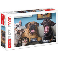 Пазлы 1000 эл. "Узнай себя! Lucia Heffernan" 68х48см 1000ПЗ2_31218/085839