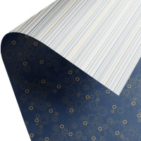 Бумага упаковочная 70см х 1м "Стимпанк" двухсторонняя глянцевая WPD-04/09