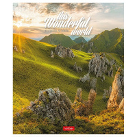 Тетрадь А5 96л линия "Удивительный мир" на скобе 5 дизайнов 96Т5В2/063258