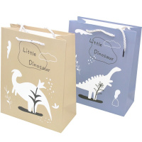 Пакет подарочный "Динозавры" 19х24х10см 4 цвета 6109 M