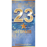Конверт для денег "23 Февраля!" 168х84мм 79.591