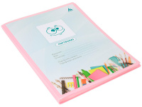 Папка-портфолио универсальное А4 "Gems" 40 файлов пластик 0,7мм с карманом, розовый GEMPP40PIN