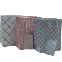 Пакет подарочный "Клеточка" 26х32х10см 3 цвета 11460-24