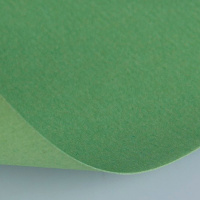 Бумага для пастели 50х65см 160г/м2 зеленый сок (хлопок 45%) 15011481