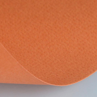 Бумага для пастели А4 160г/м2 охра (хлопок 45%) 15723150