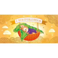 Конверт для денег "С Новорожденным" 167х83мм 0314.842