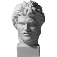 Голова галла 25,5х27х41см 10-174