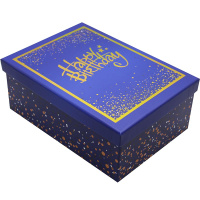 Коробка подарочная "С Днем Рождения" 25х18х10,5см, картон Y10484-24/3