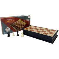 Шахматы 24х24см магнитные, пластик Y10337-24