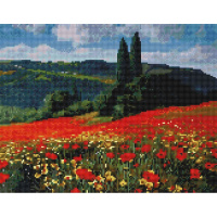 Алмазная мозаика на подрамнике 40х50см "Маковый ковер" полная выкладка VА229