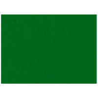 Фоамиран 2мм 50*70см травяной зеленый СН-10