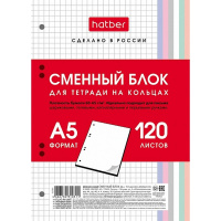 Сменный блок для тетрадей на кольцах А5 120л клетка многоцветный срез 078563