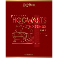 Тетрадь А5 48л клетка "Гарри Поттер" на скобе 3D фольга матовая ламинация 5 дизайнов 068667