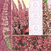 Салфетка 33х33мм 1шт Лавандовый узор трехслойная SDOG006601