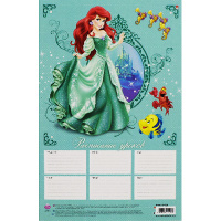 Расписание уроков А3 "Дисней" 4вида 2-016