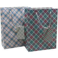 Пакет подарочный "Клеточка" 18х24х8,5см 3 цвета 11459-24