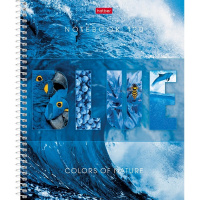 Тетрадь А5 120л клетка "Гармония цвета" на спирали твердая обложка 080556