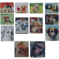 Магнит акриловый Кошки/Собаки 6*4,5см 6 видов Y2578-15