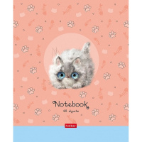 Тетрадь А5 48л клетка "Кошарики" на скобе 5 дизайнов 48Т5В1/075302