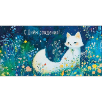 Конверт для денег "С Днем Рождения" 167х83мм 0321.343