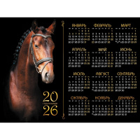 Календарь настенный листовой 2026 "Год Лошади" 598х450мм Кл2_34687/092234