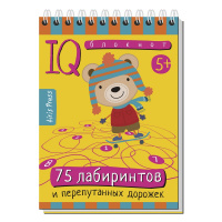 Умный блокнот. 75 лабиринтов 80стр. 978-5-8112-6017-1