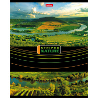 Тетрадь А5 96л линия "Полосатый мир" на скобе 96Т5В2/042678