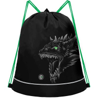 Сумка для сменной обуви 38х50х11см "Dragon" черная/зеленая 1 отделение 1 карман OM-41-5/1