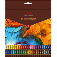 Карандаши 48 цветов "Fine" круглые дерево, картон VFCP-48