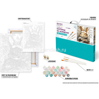 Живопись по номерам (акрил) 40х50см "Сон зайки" сложность 2, холст на подрамнике PNB/PL-336 от магазина "Карандаш"