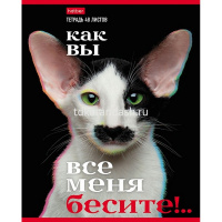 Тетрадь А5 48л клетка "Вы все меня бесите" на скобе 5 дизайнов 48Т5В1/075710 от магазина "Карандаш"