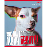 Тетрадь А5 48л клетка "Вы все меня бесите" на скобе 5 дизайнов 48Т5В1/075710 от магазина "Карандаш"