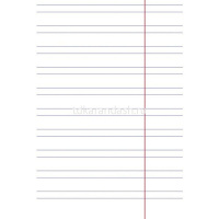 Тетрадь А5 12л узкая линия "Premium. Панда-Тетрадь" на скобе, 80 гр/кв.м. 12Т5A7_23630/065619 от магазина "Карандаш"