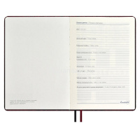 Ежедневник недатированный А5+ "Escalada" 320стр., бордовый, искус.кожа "Аллигатор" в коробке 67179 от магазина "Карандаш"