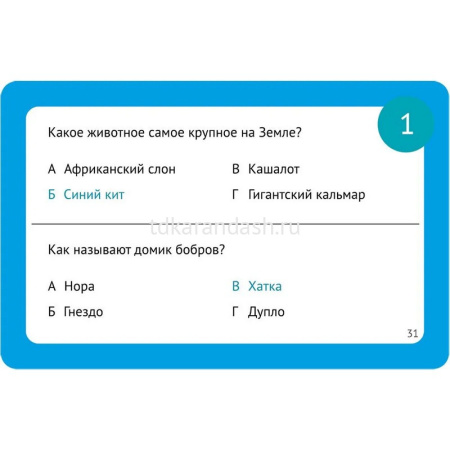 Игра настольная "Челюсти: семейная версия" 26х26см (53 карточки, 4 капы) MAG119878/MAG119880 от магазина "Карандаш"