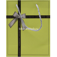 Пакет подарочный "Подарочная коробка" 18х23х10см 4 цвета Y10554-24 от магазина "Карандаш"