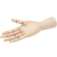 Рука высота 30см, правая, дерево Y10723-24 от магазина "Карандаш"