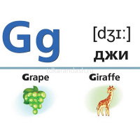 Игра "Наглядные пособия для детей. Английский алфавит и числа" 64 карточки 8х12см картон 088788 от магазина "Карандаш"