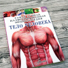 Энциклопедия "Тело человека" 128стр. Гибберт К. 978-5-17-110804-5 от магазина "Карандаш"