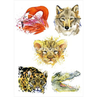 Папка д/акварельных набросков "Животные" А4 10л акварельная бумага 200г/м2 Р-2048 от магазина "Карандаш"