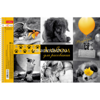 Альбом для рисования А4 40л "Прикосновение цвета" на спирали, перфорация на отрыв 5 дизайнов 062429 от магазина "Карандаш"