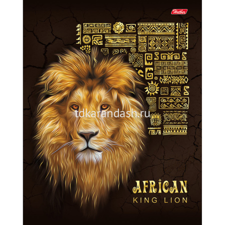 Тетрадь А5 48л клетка "King Lion" на скобе 3D фольга матовая ламинация 5 дизайнов 48Т5офлВ1/047051